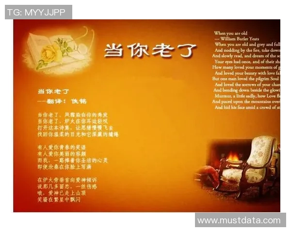 刘铮的奋斗历程与成就探秘：从平凡到卓越的精彩人生故事